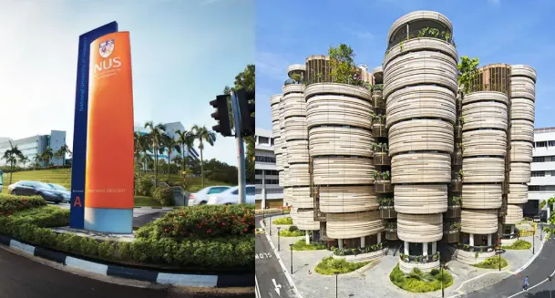 1773649385117812.jpg 11061_01.jpg